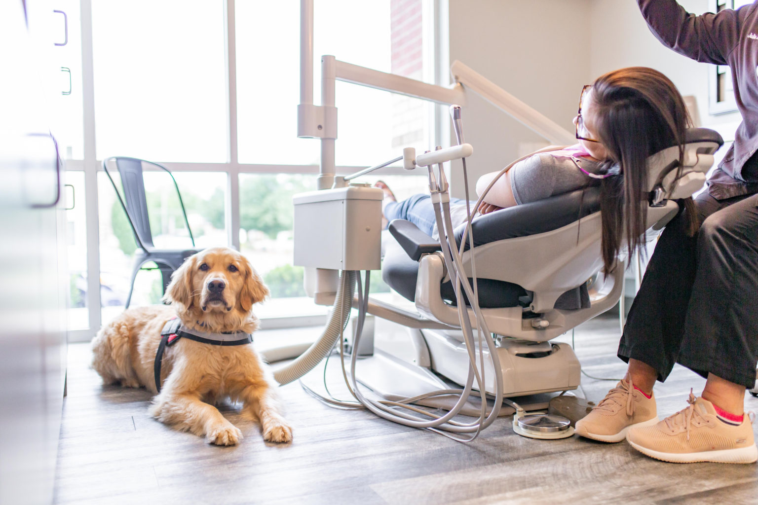 A golden retriever wearing a service harness lies on the floor beside a patient reclined in a dental chair while a dentist stands nearby.