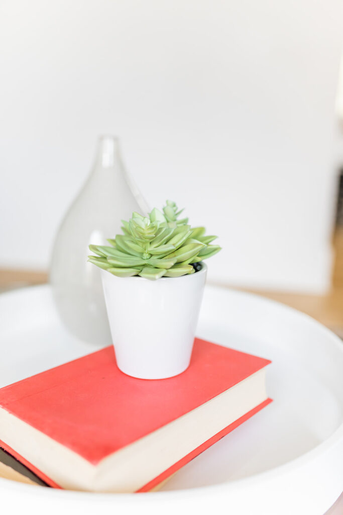 bright book with a succulent on top