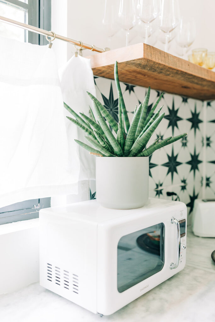 house plant on top of vintage microwave